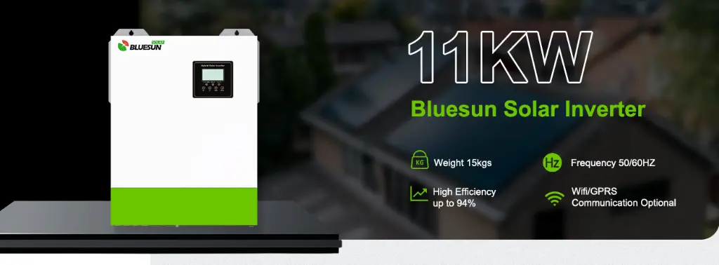 11.webp
